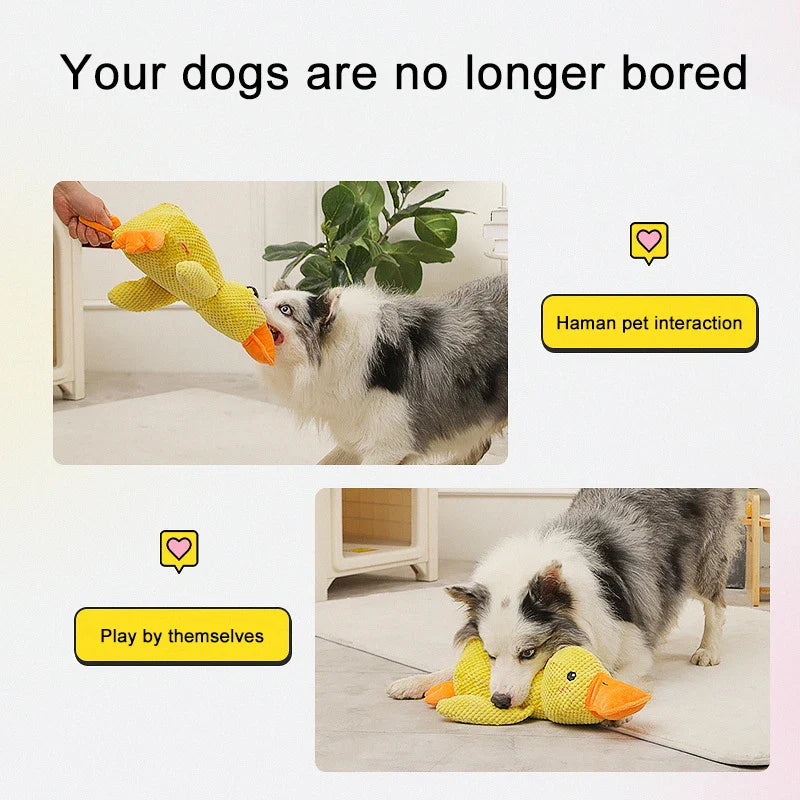 Interactive Quacking Duck Dog Toy - Durable Chew and Molar Toy for All Dog Sizes-My Little Pet