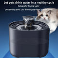 USB Electric Cat Water Fountain with Filter and Quiet Operation-My Little Pet