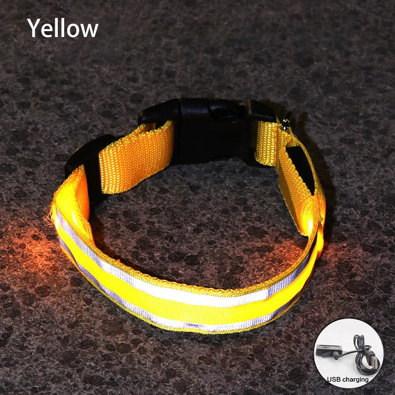 Reflective LED Dog Collar - USB Rechargeable and Button Battery Options-My Little Pet