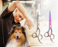 Professional Pet Grooming Scissors Set for Dogs and Cats-My Little Pet