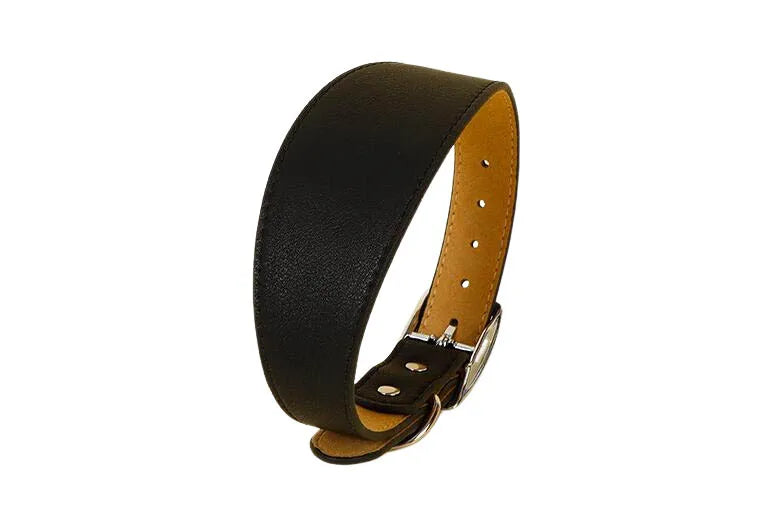 Premium Leather Dog Collar for Sighthounds and Dachshunds-My Little Pet