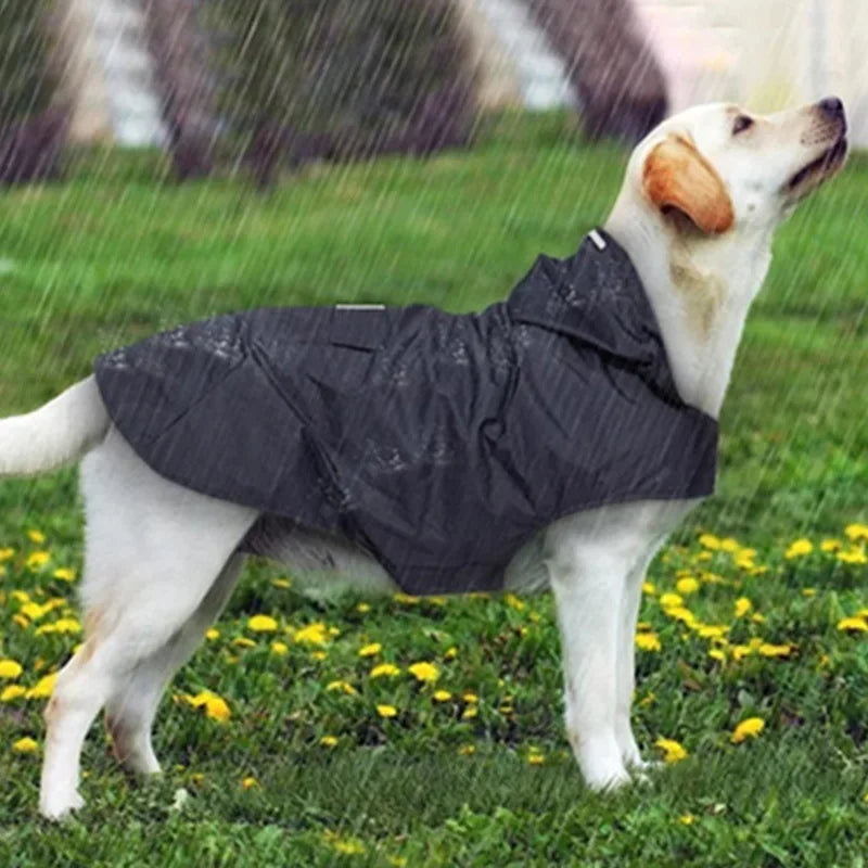 Reflective Waterproof Dog Raincoat with Hood for All Sizes-My Little Pet