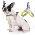 Reflective Adjustable Harness for Small to Medium Dogs and Cats-My Little Pet