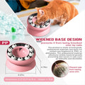 Interactive Slanted Cat Feeder Bowl for Slow Feeding-My Little Pet