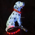 CC SIMON Rechargeable LED Dog Collar - Enhanced Night Safety with Multiple Flash Modes-My Little Pet