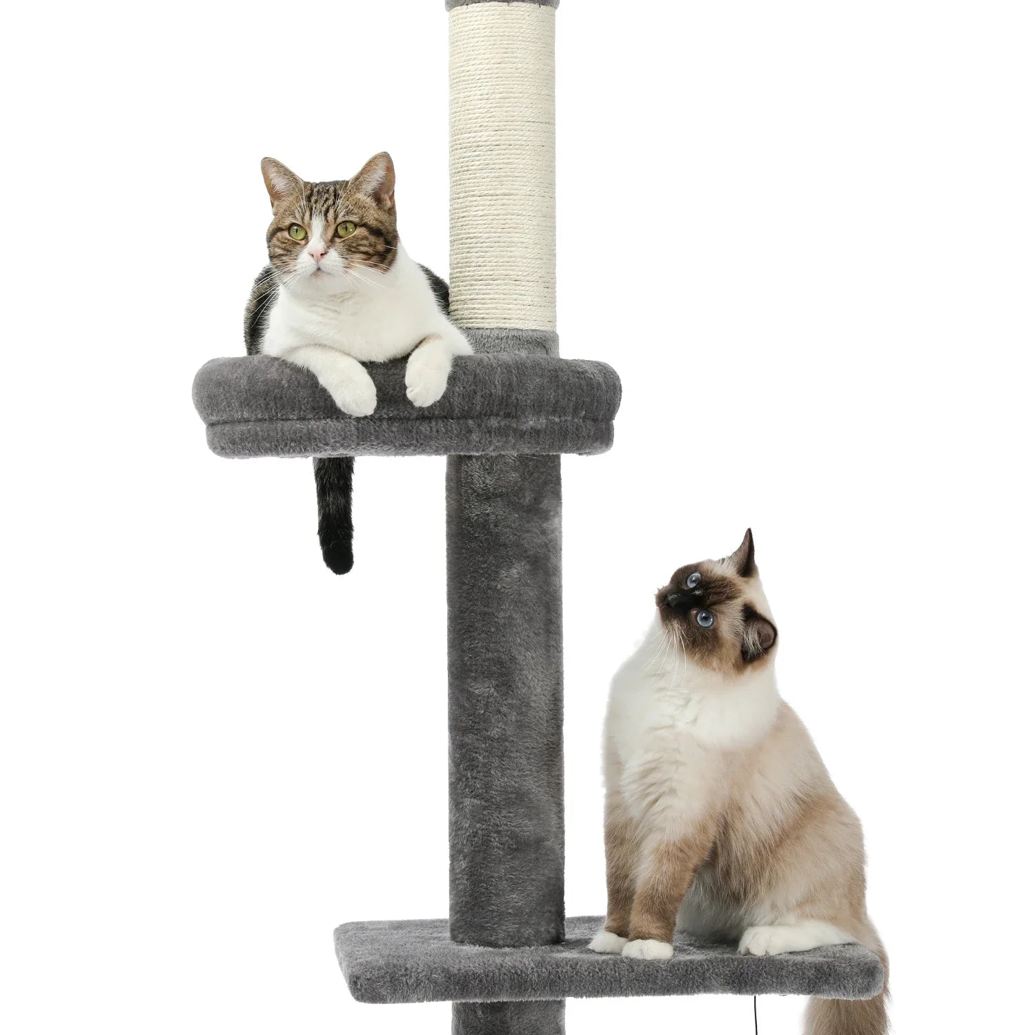 Floor-to-Ceiling Cat Tree - 228-274cm Tall Cat Climbing Tower-My Little Pet