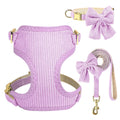 Adjustable Bowknot Dog Collar and Harness Set with Matching Leash-My Little Pet