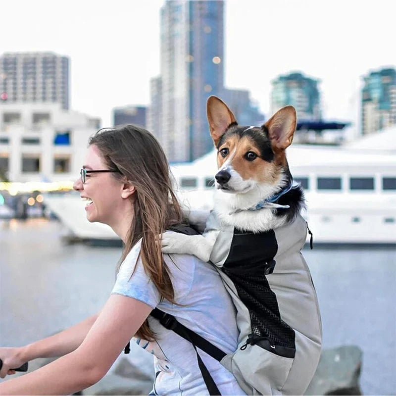 High-Quality Breathable Nylon Dog Carrier Backpack for Outdoor Activities-My Little Pet