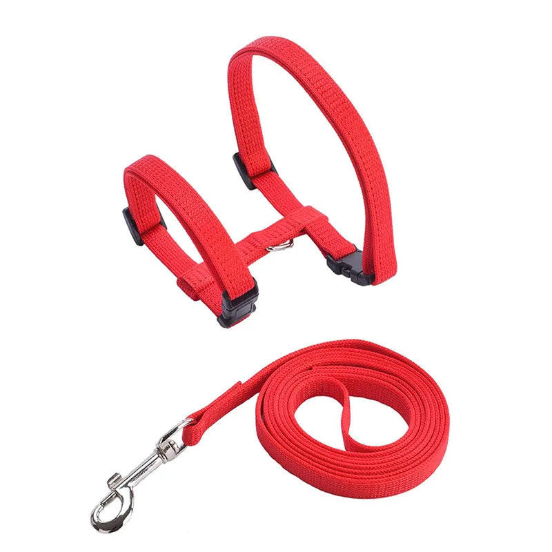 Cat Harness and Leash Set – Lightweight and Adjustable for Outdoor Adventures-My Little Pet