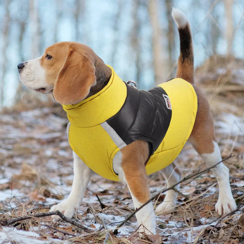 Waterproof Winter Dog Coat for All Sizes-My Little Pet