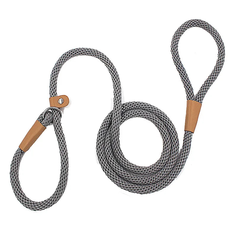 Adjustable Nylon Dog Leash with Multi-Feature Safety Design for Medium and Large Dogs-My Little Pet