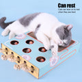 Interactive Cat Maze & Scratching Toy with Mouse Hunt Game-My Little Pet